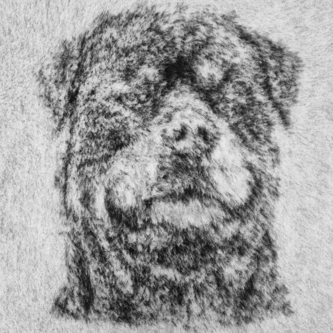 VetBed rottweiler