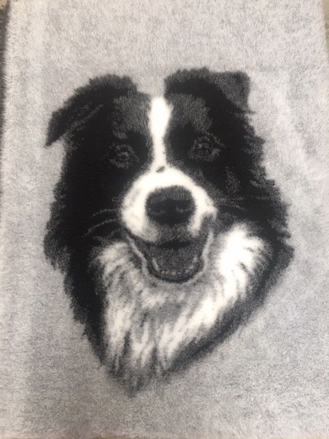 VetBed border collie 2