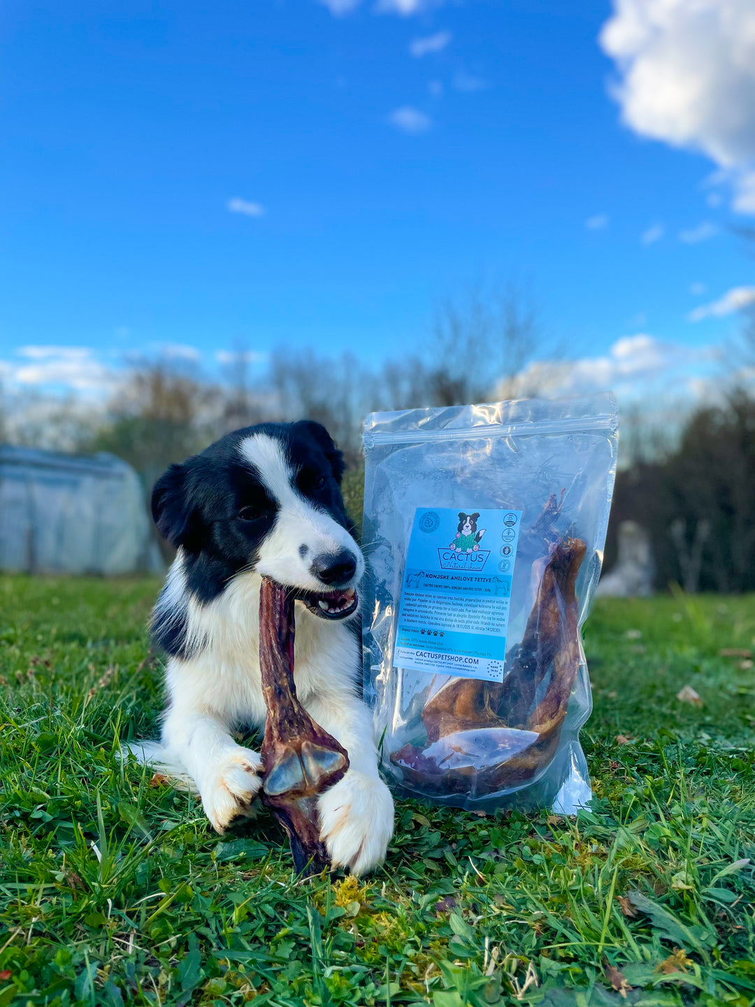Konjske Ahilove tetive 350g