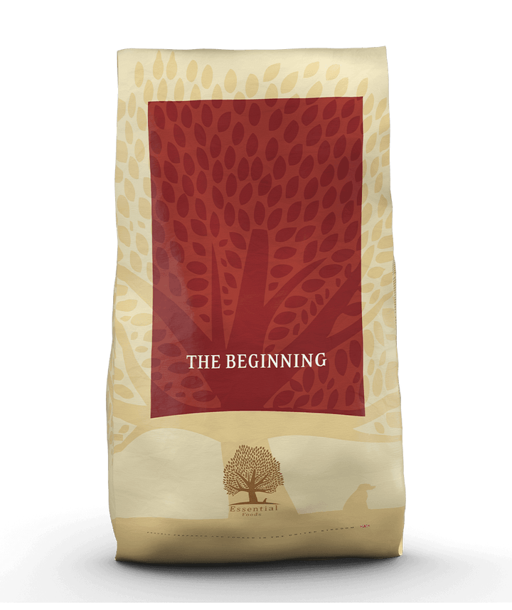 Essential foods the Beginning 10 kg