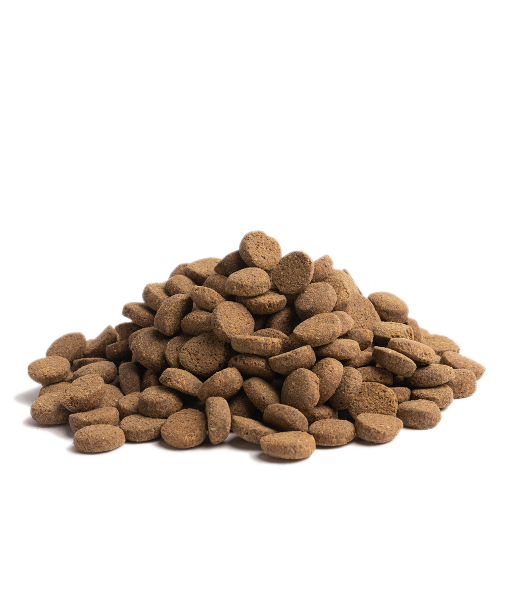 Osnovna hrana Starije 10 kg