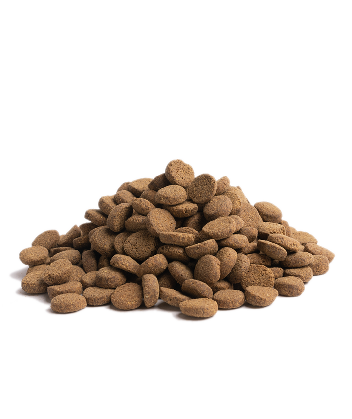 Osnovna hrana Starije 10 kg