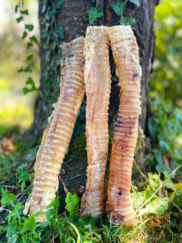 XXL Goveđi sapnici 40cm, 500g ili 1000g