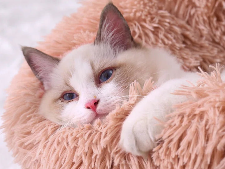 Pink fluffy bed