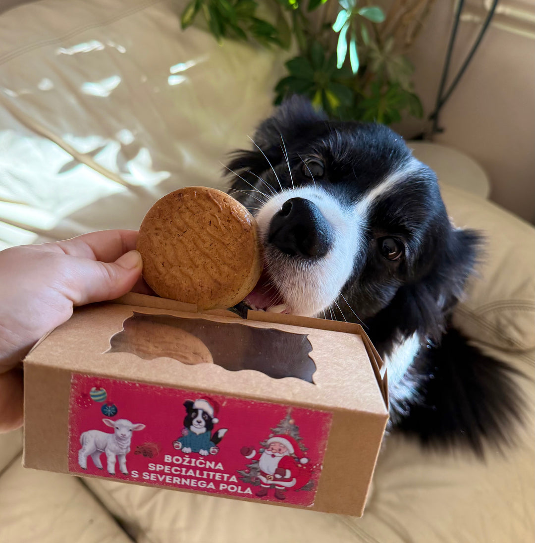 Božična specialiteta s severnega pola 190g