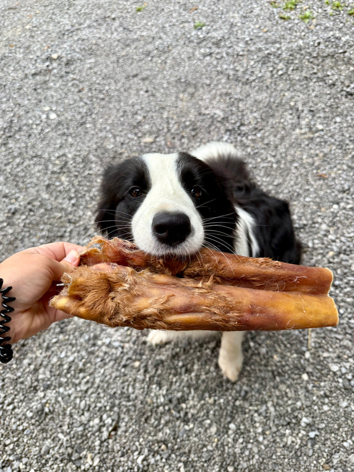 Goveđa koža 15cm, 500g