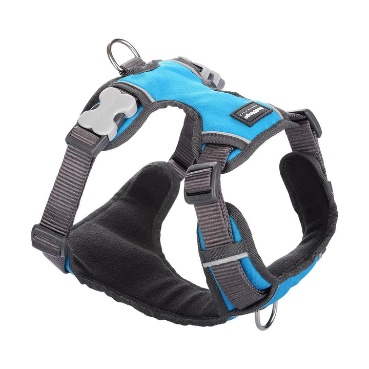 Orma Red Dingo Padded Sport Tirkizna