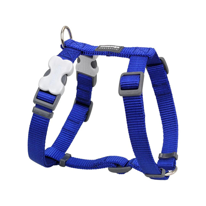 Red Dingo Blue Orma