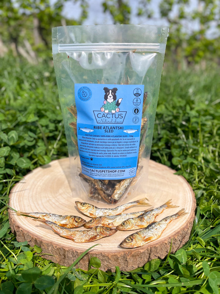 Riba atlantska haringa 150g
