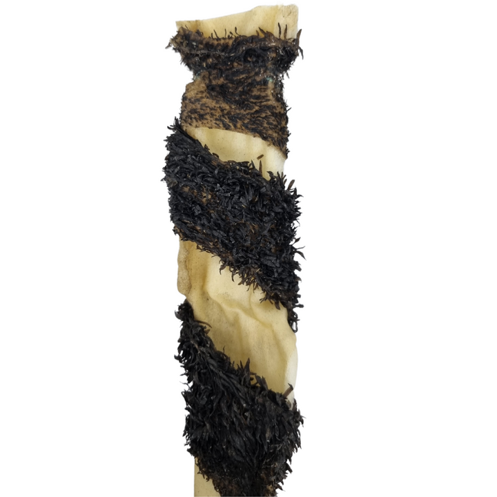 Goveja koža ovita v vampe 70cm 1kg