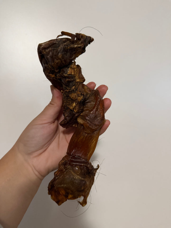 Horse Achilles tendons 350g