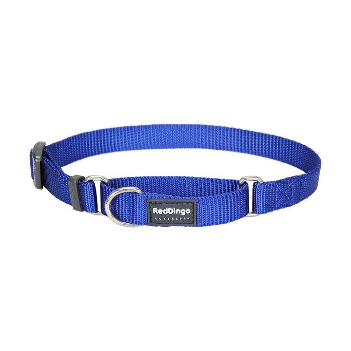 Collar Red Dingo Blue semi-tight