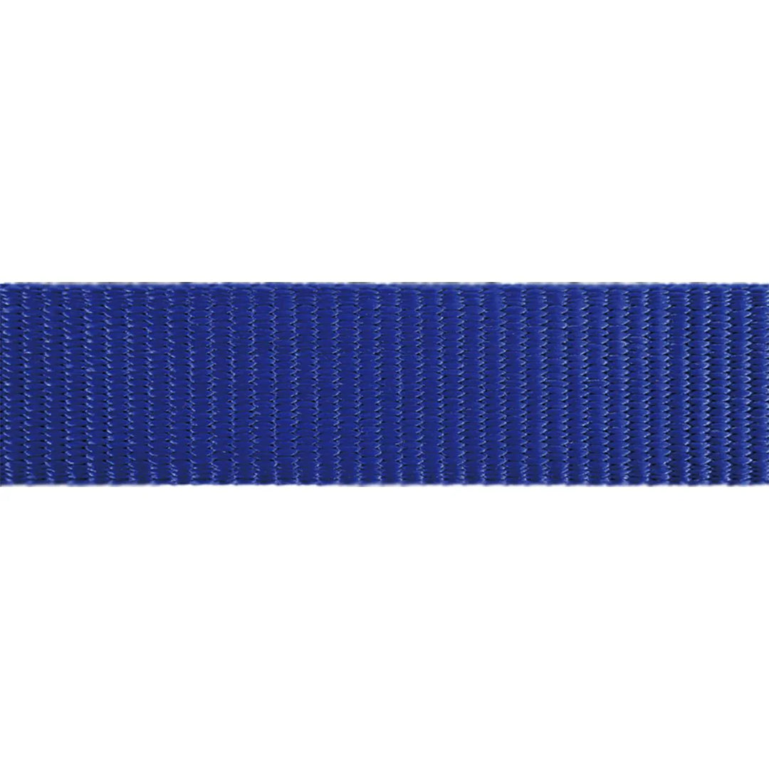 Red Dingo Blue Orma