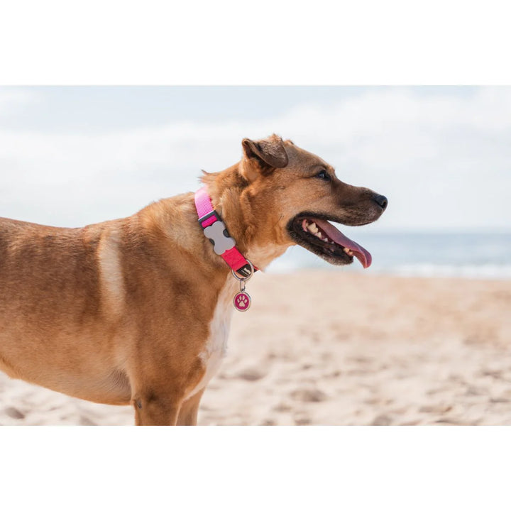 Ovratnica Red Dingo Hot Pink