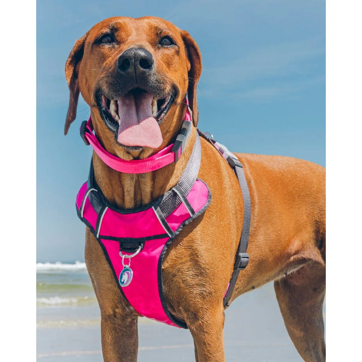 Orma Red Dingo Padded Sport Hot Pink
