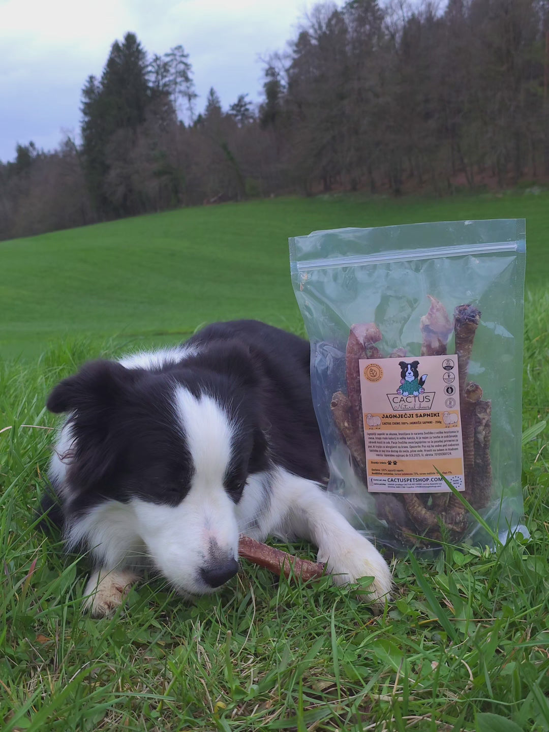 Jagnječji sapniki 250g