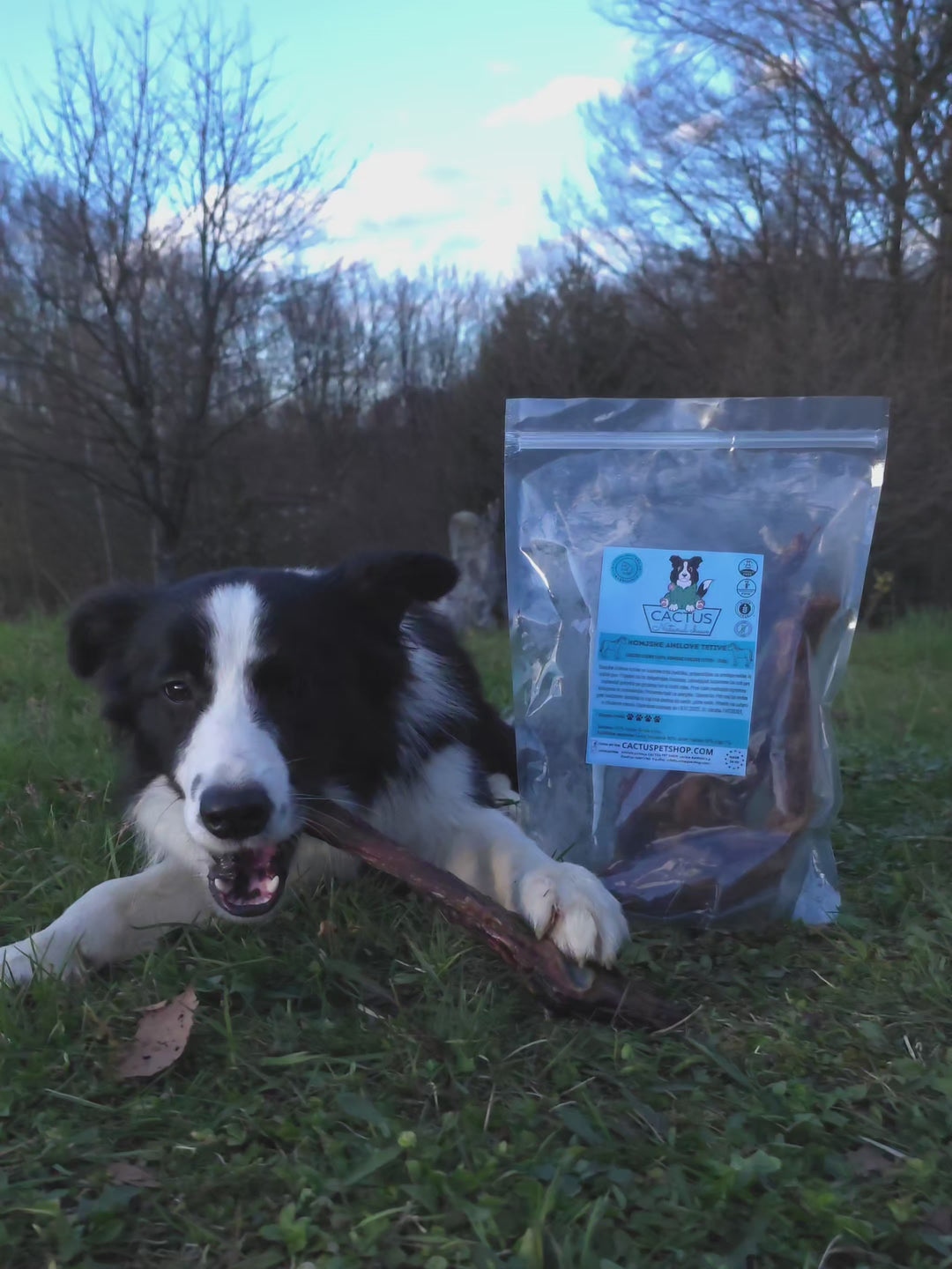 Konjske Ahilove tetive 350g