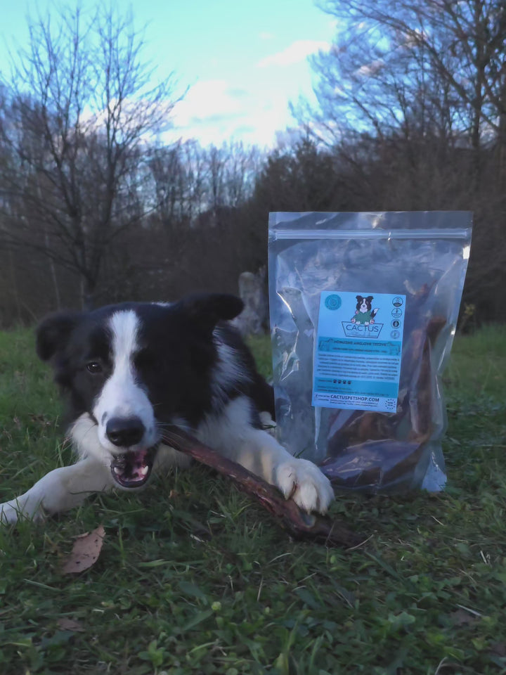 Konjske Ahilove tetive 350g