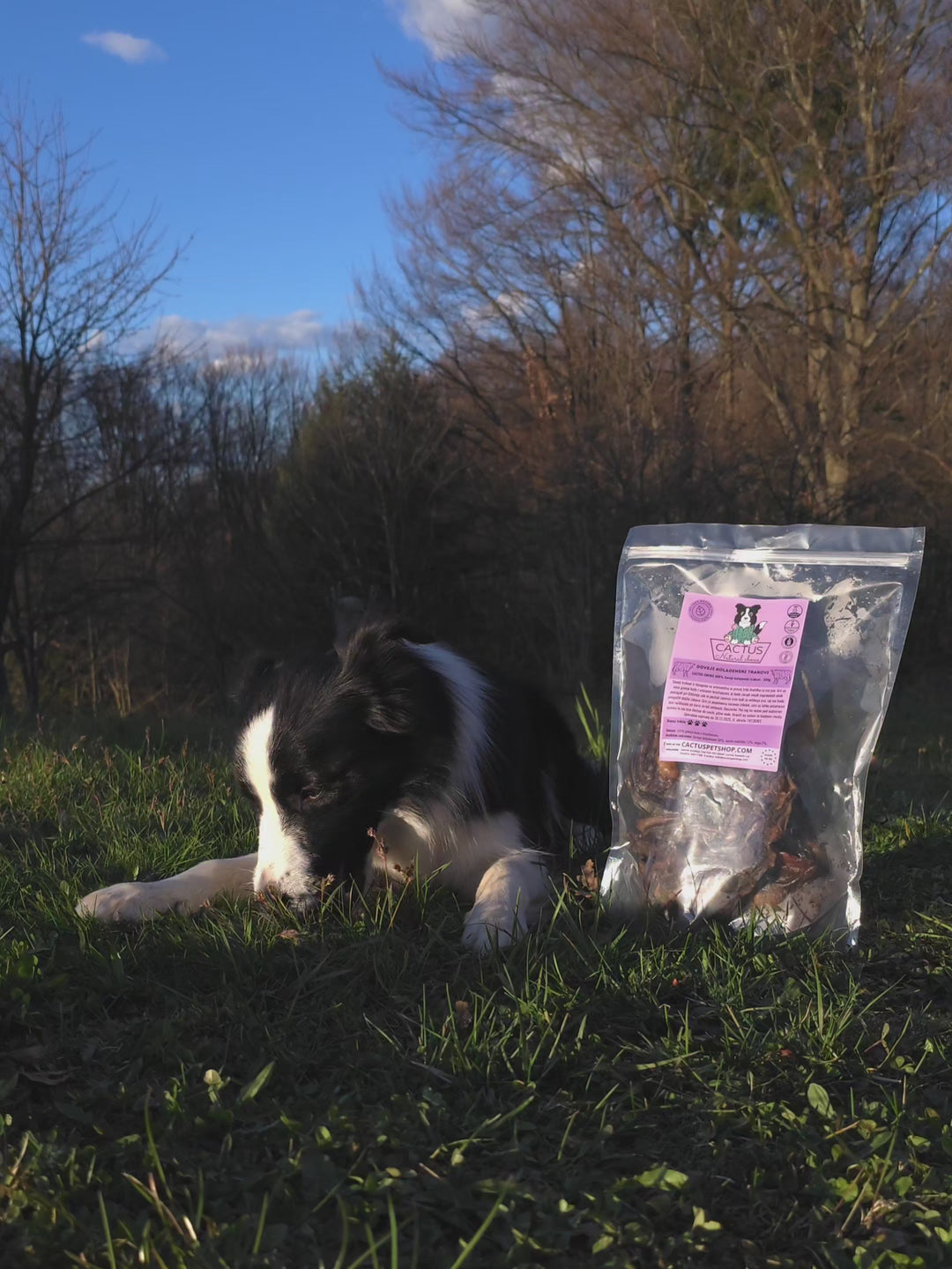Beef collagen strips 500g