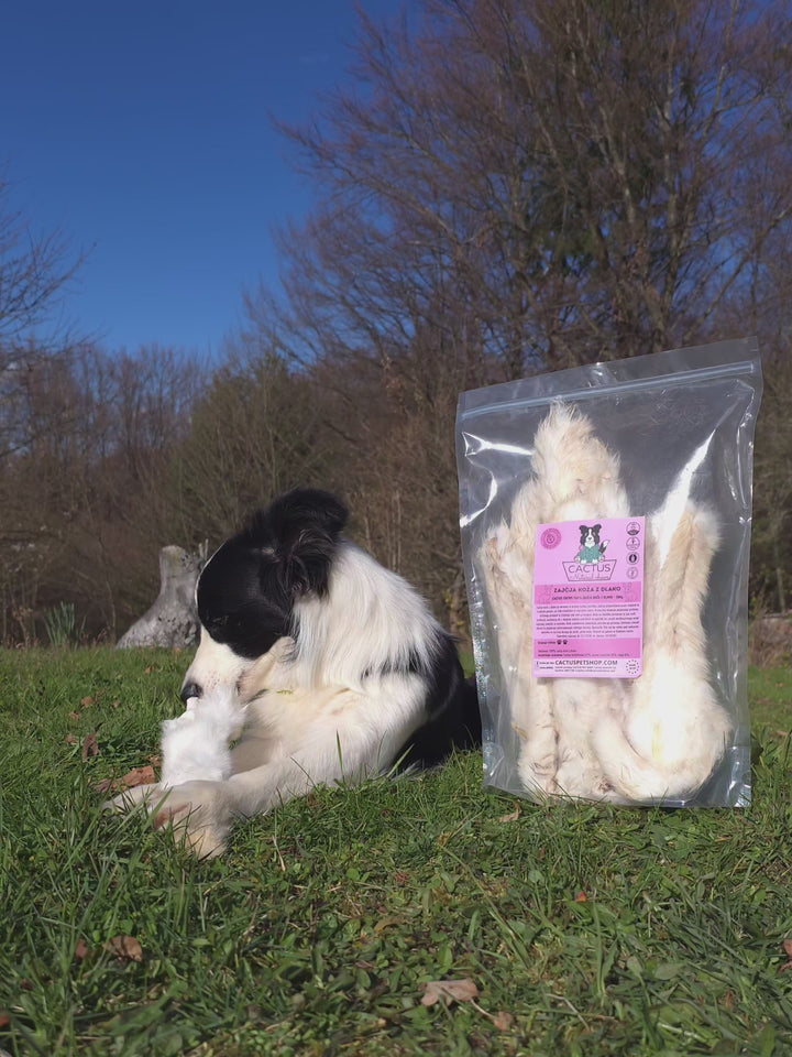 Rabbit skin with fur 300g