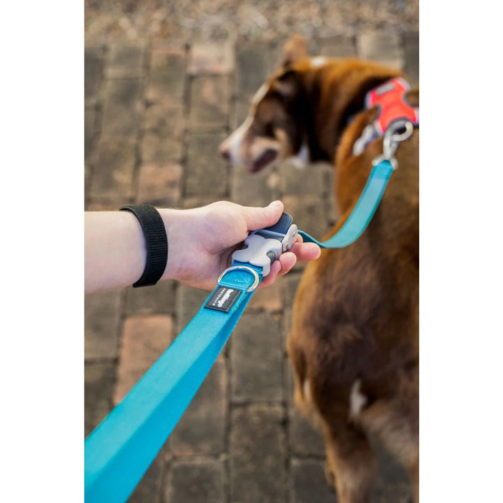 Povodac Red Dingo SuperLead Black