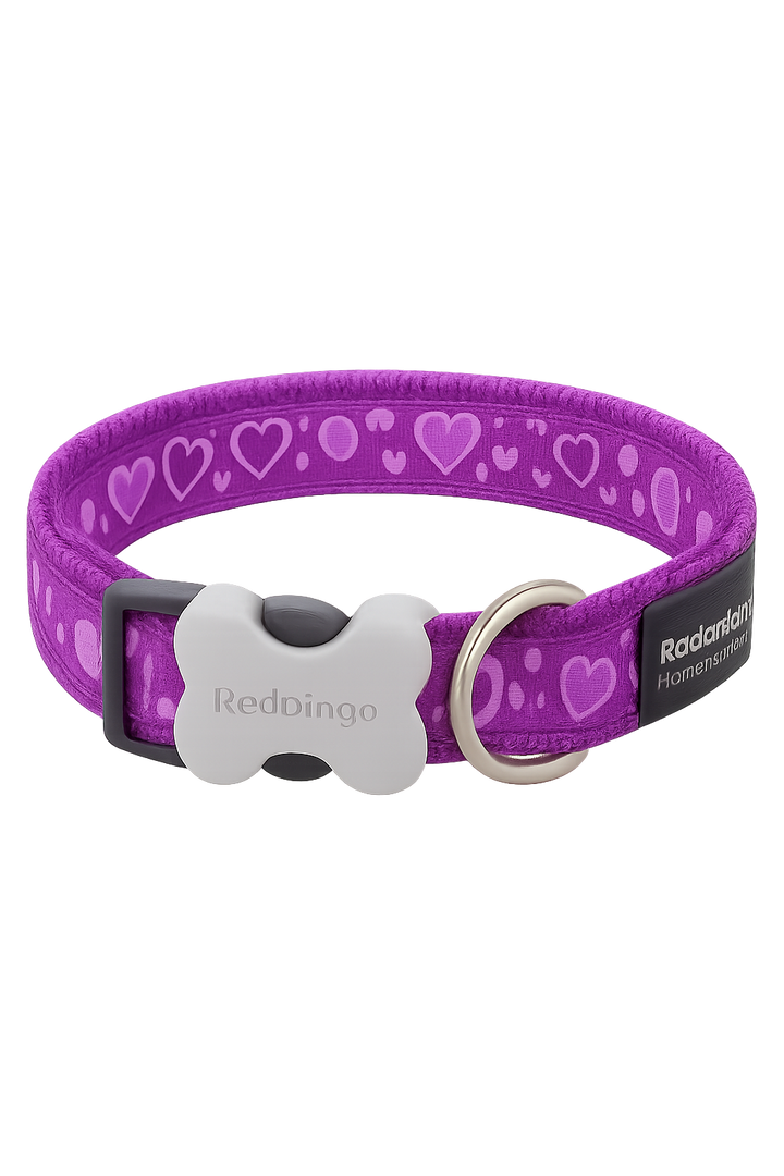 Collar Red Dingo Breezy Love Violet
